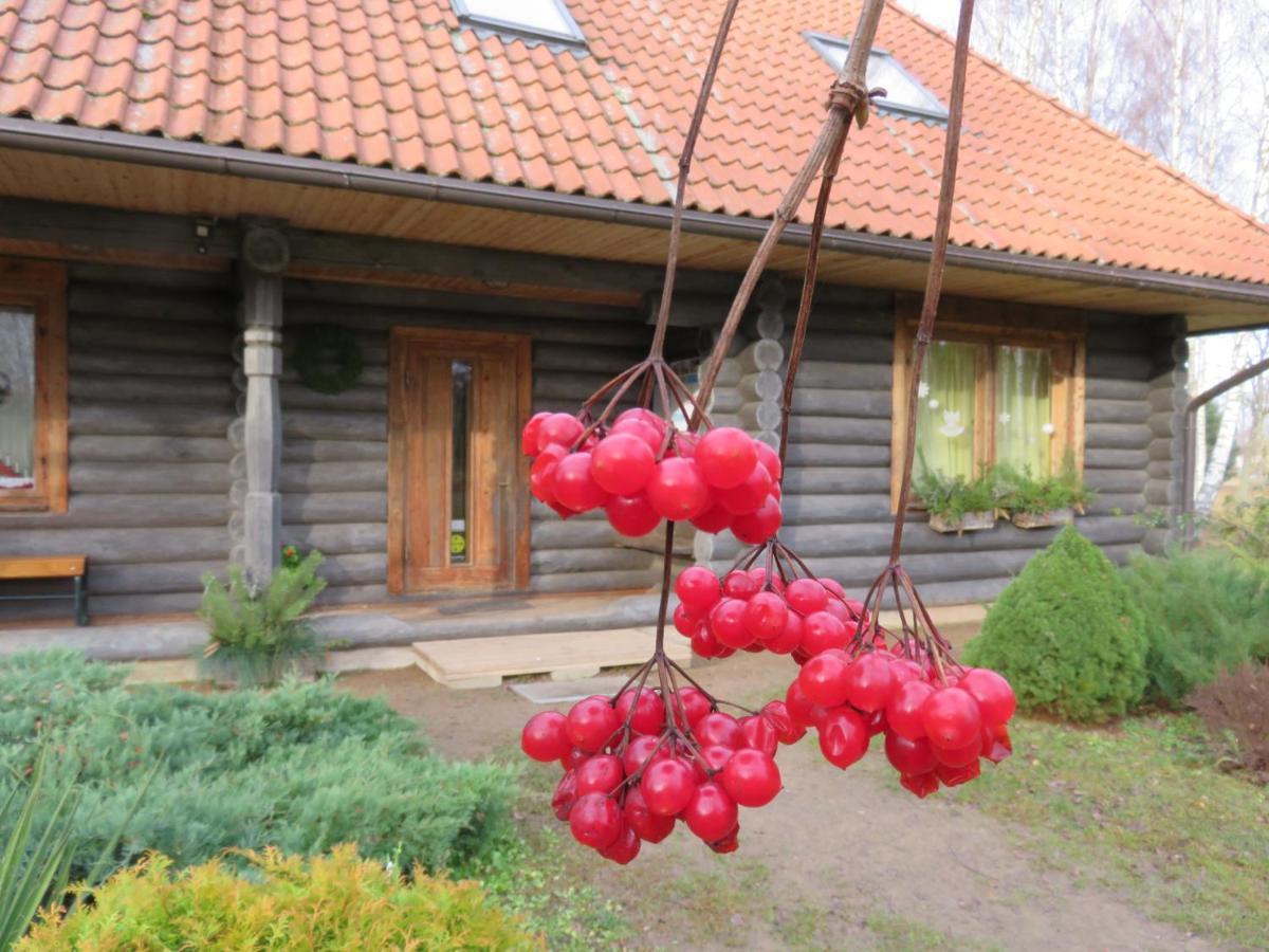 Guest House Leveri Valgalciems 外观 照片